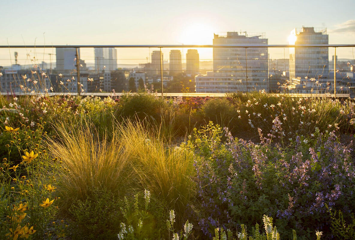 We see the integration of ESG strategy as the key to sustainable and ethically responsible business We see the integration of ESG strategy as the key to sustainable and ethically responsible business