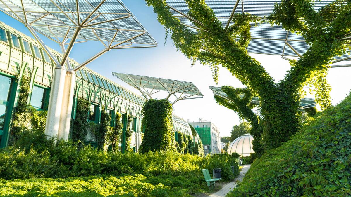 The best green roofs of 2024 were awarded in Bratislava The best green roofs of 2024 were awarded in Bratislava